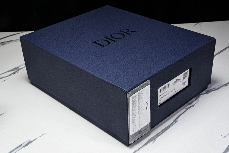 Dior B33 SNEAKER