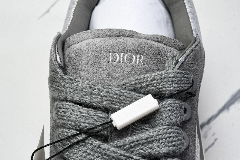 Dior B33 SNEAKER