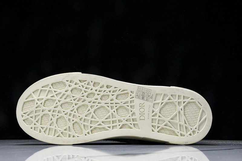 Dior B33 SNEAKER