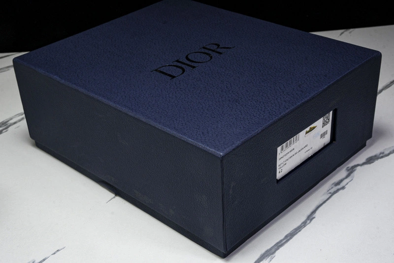 Dior B33 SNEAKER