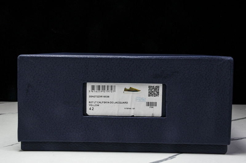 Dior B33 SNEAKER