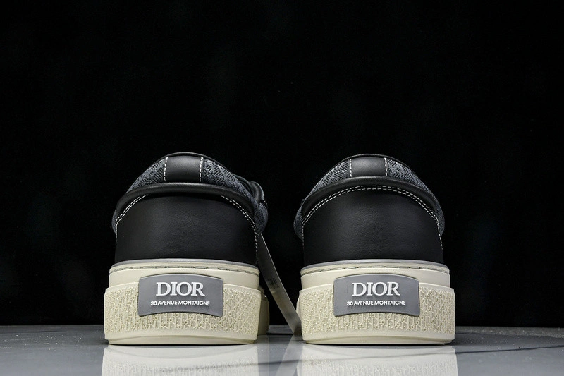 Dior B33 SNEAKER
