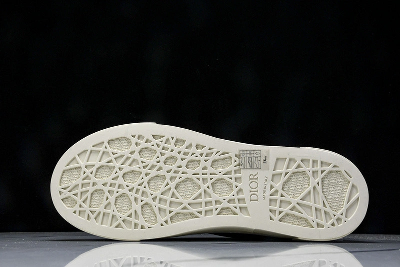 Dior B33 SNEAKER