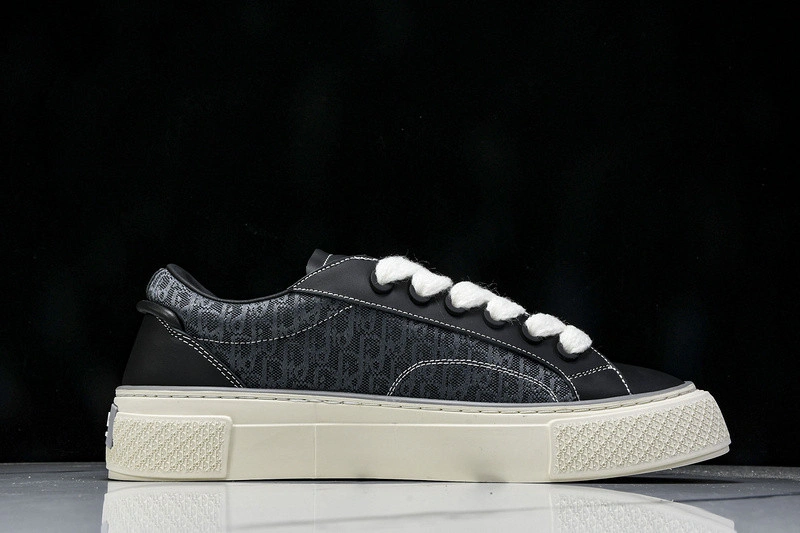 Dior B33 SNEAKER
