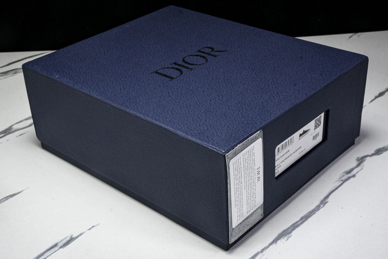 Dior B33 SNEAKER