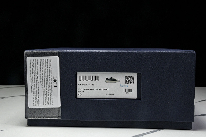 Dior B33 SNEAKER