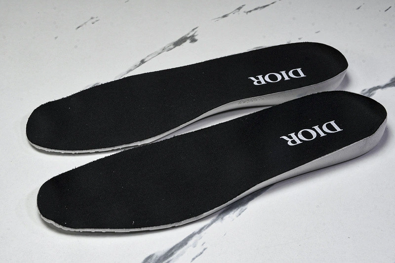 Dior B33 SNEAKER