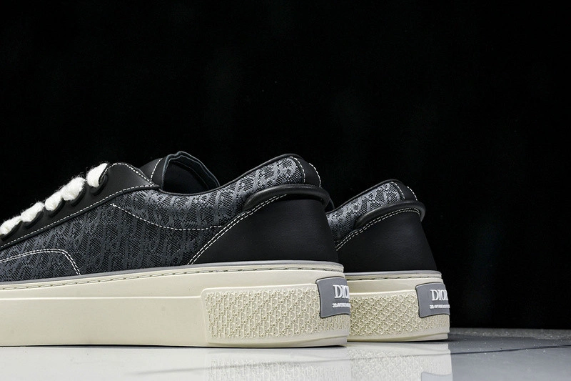 Dior B33 SNEAKER