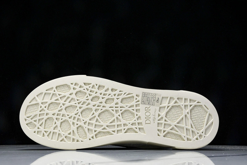 Dior B33 SNEAKER