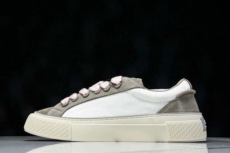 Dior B33 SNEAKER