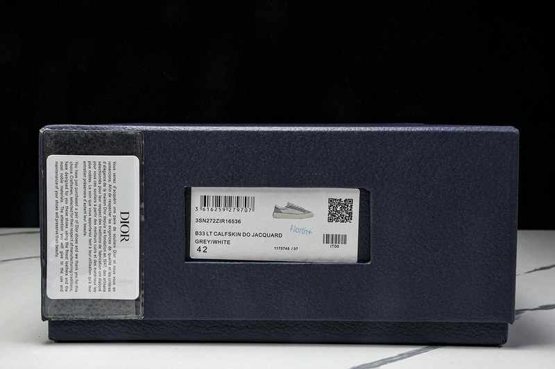 Dior B33 SNEAKER