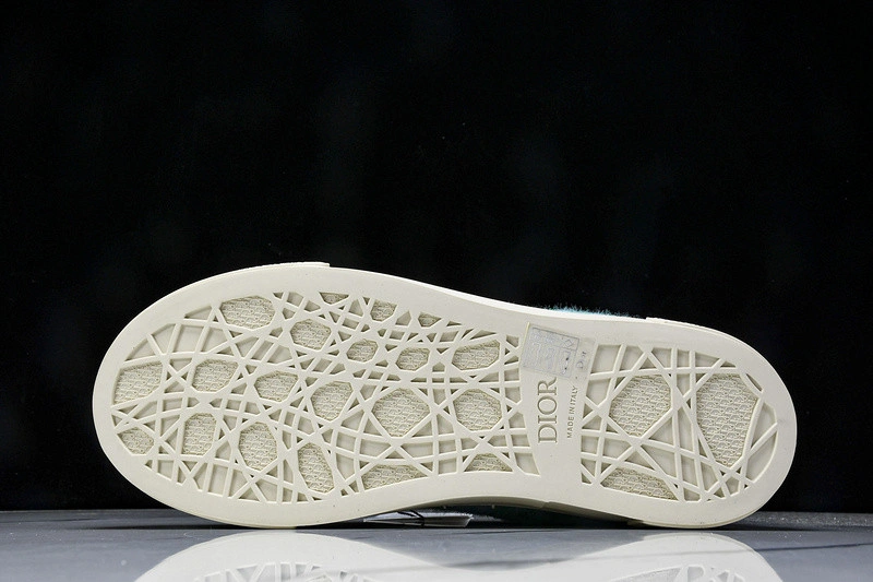Dior B33 SNEAKER