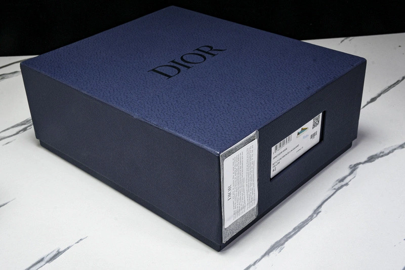 Dior B33 SNEAKER
