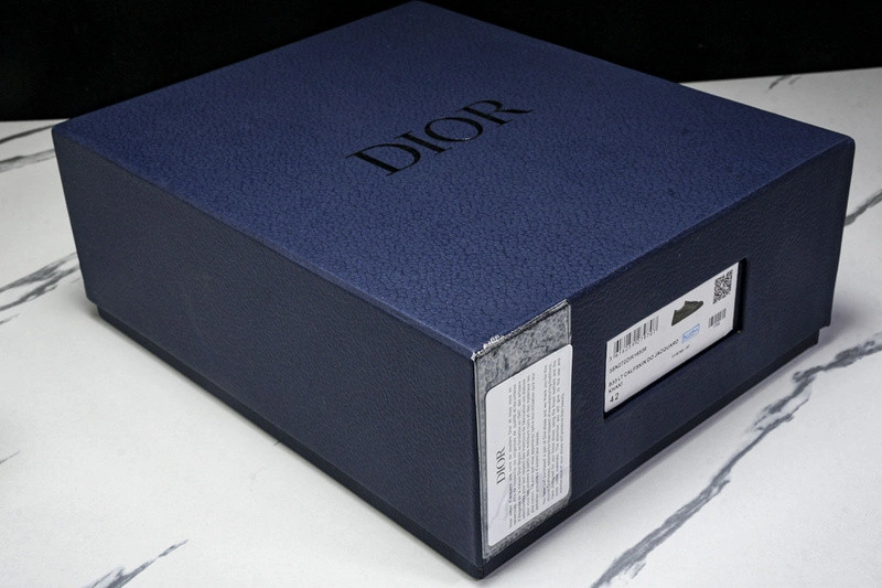 Dior B33 SNEAKER