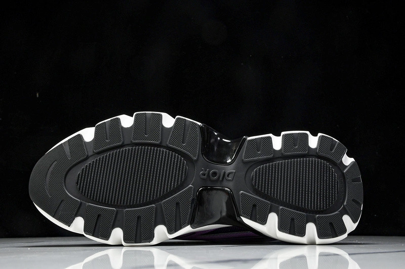 Dior B44 SNEAKER