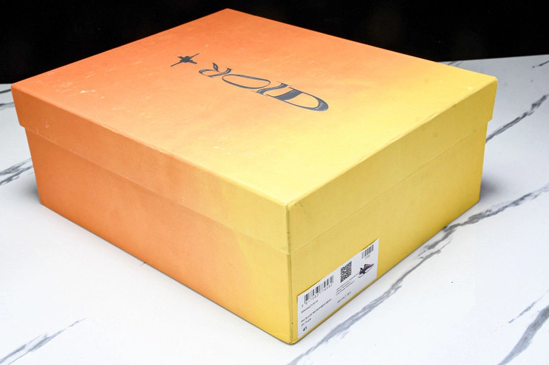 Dior B44 SNEAKER