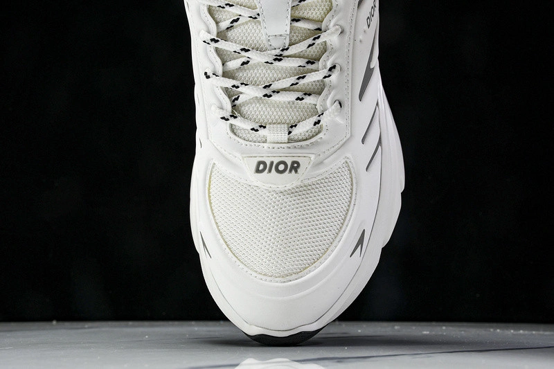 Dior B44 SNEAKER