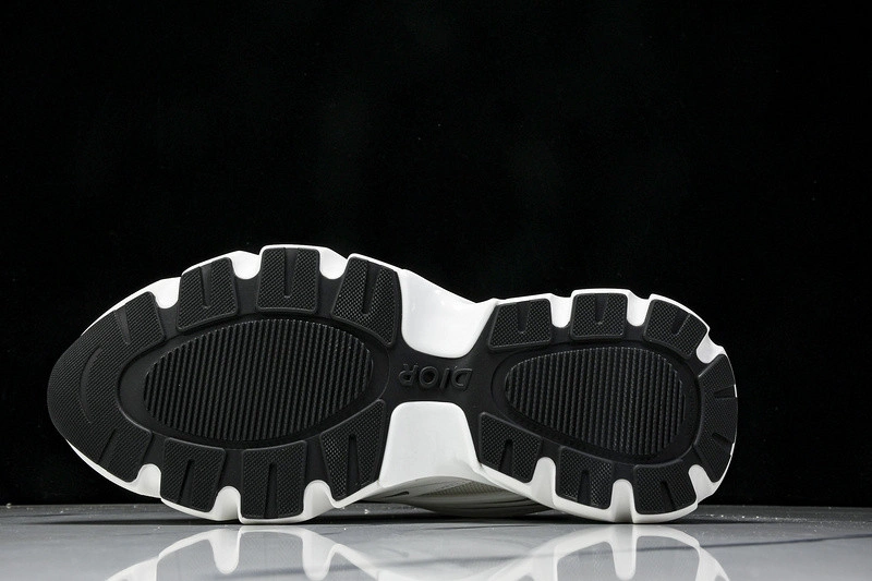 Dior B44 SNEAKER