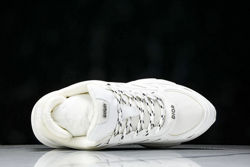 Dior B44 SNEAKER