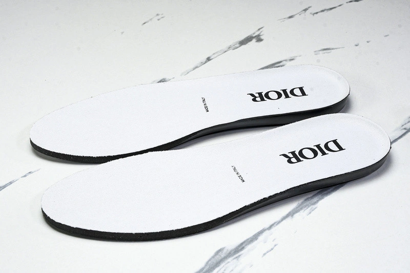 Dior B44 SNEAKER