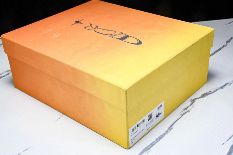 Dior B44 SNEAKER