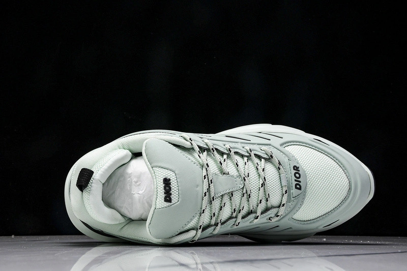 Dior B44 SNEAKER