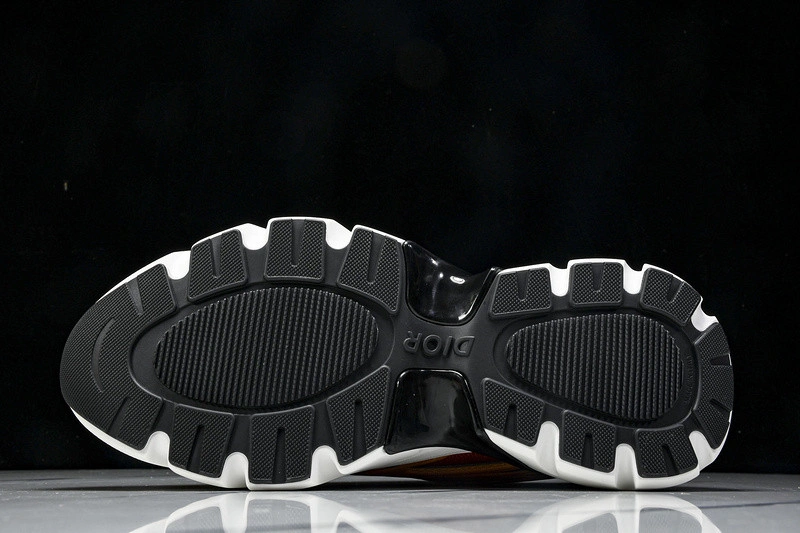 Dior B44 SNEAKER