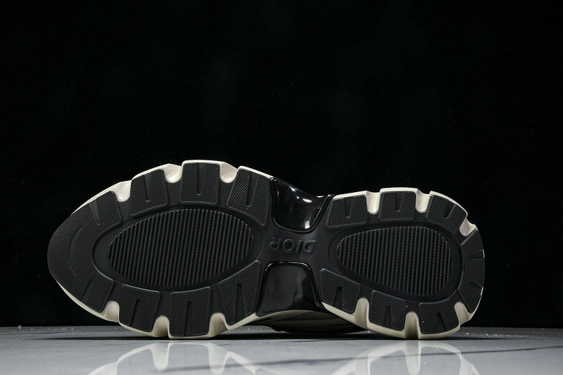 Dior B44 SNEAKER
