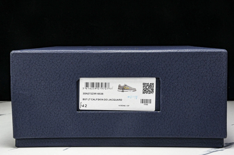 Dior B57 SNEAKER