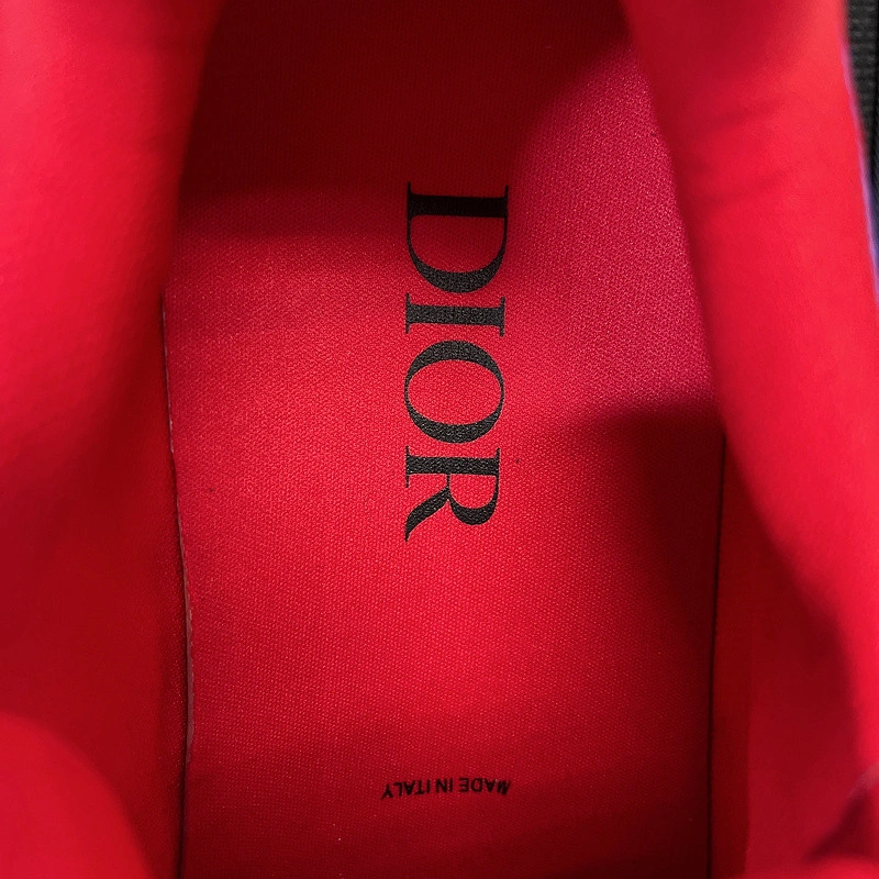 Dior Homme B22 Trainer Sneaker