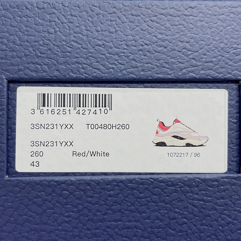 Dior Homme B22 Trainer Sneaker