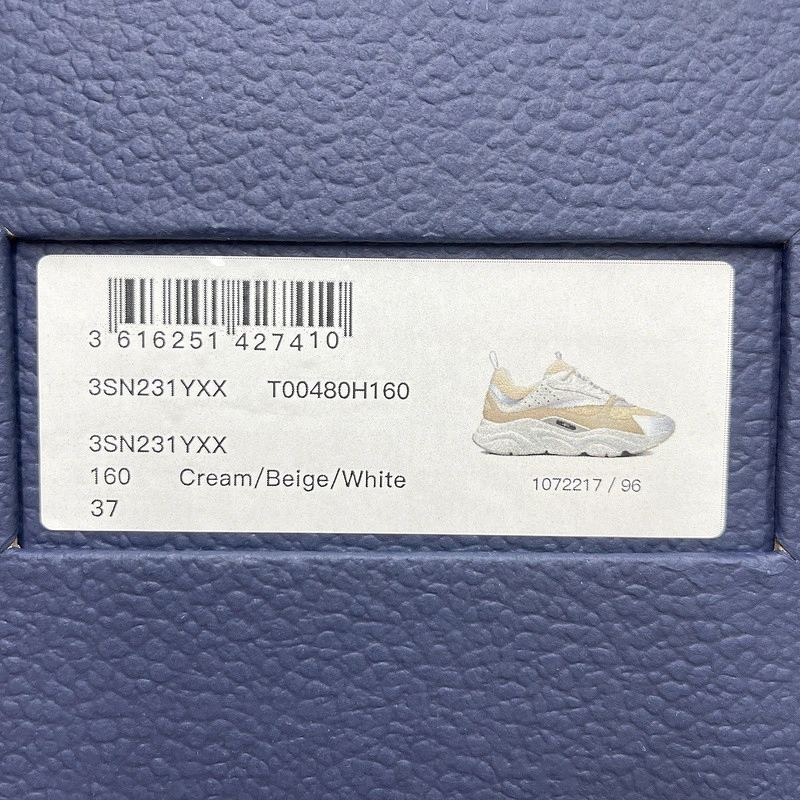 Dior Homme B22 Trainer Sneaker