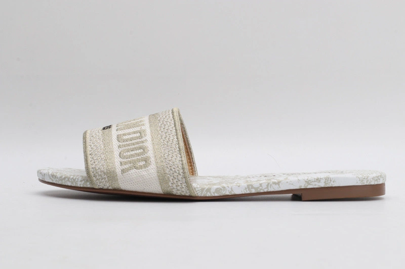 Dior Slide