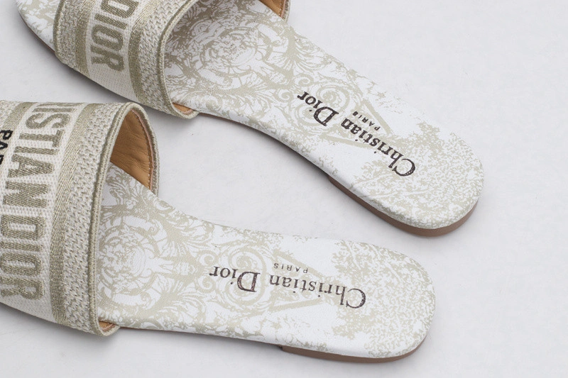Dior Slide