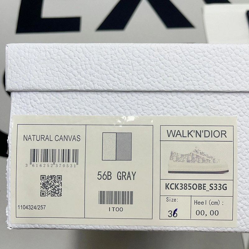Dior WALK'N' PLATFORM SNEAKER