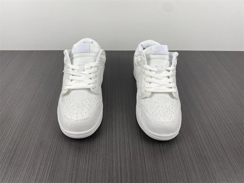 Dover Street Market DSM Nike Dunk Low DH2686-100