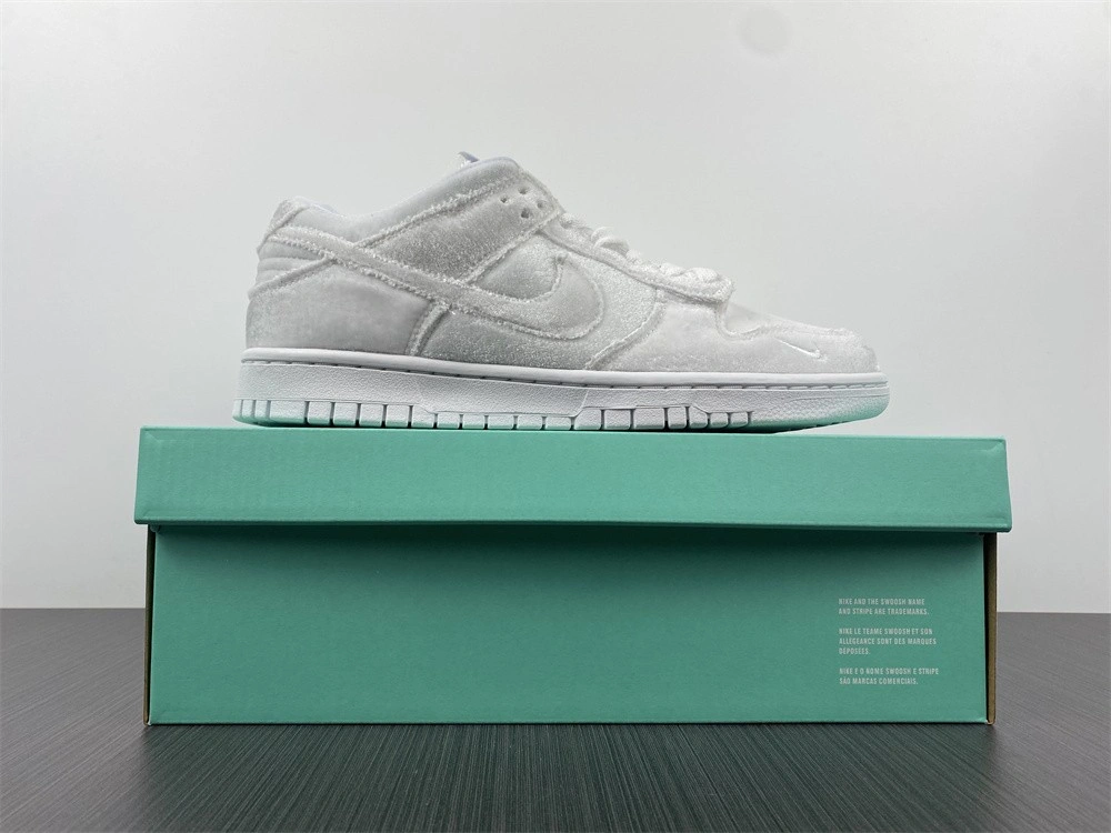 Dover Street Market DSM Nike Dunk Low DH2686-100