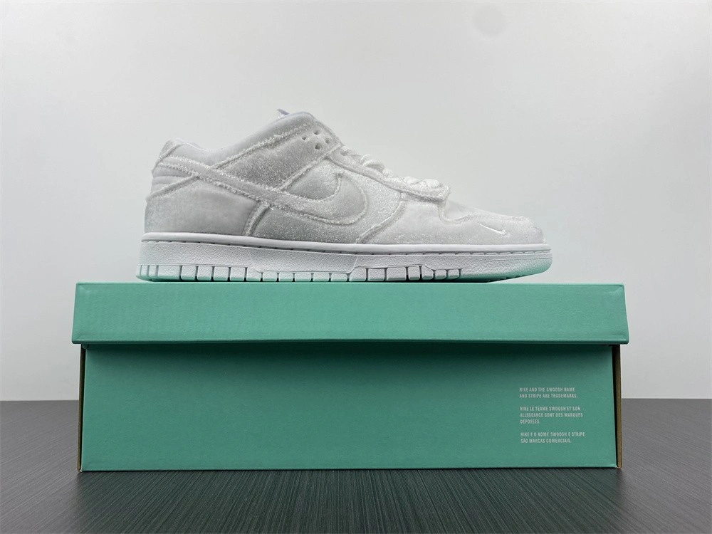 Dover Street Market DSM Nike Dunk Low DH2686-100
