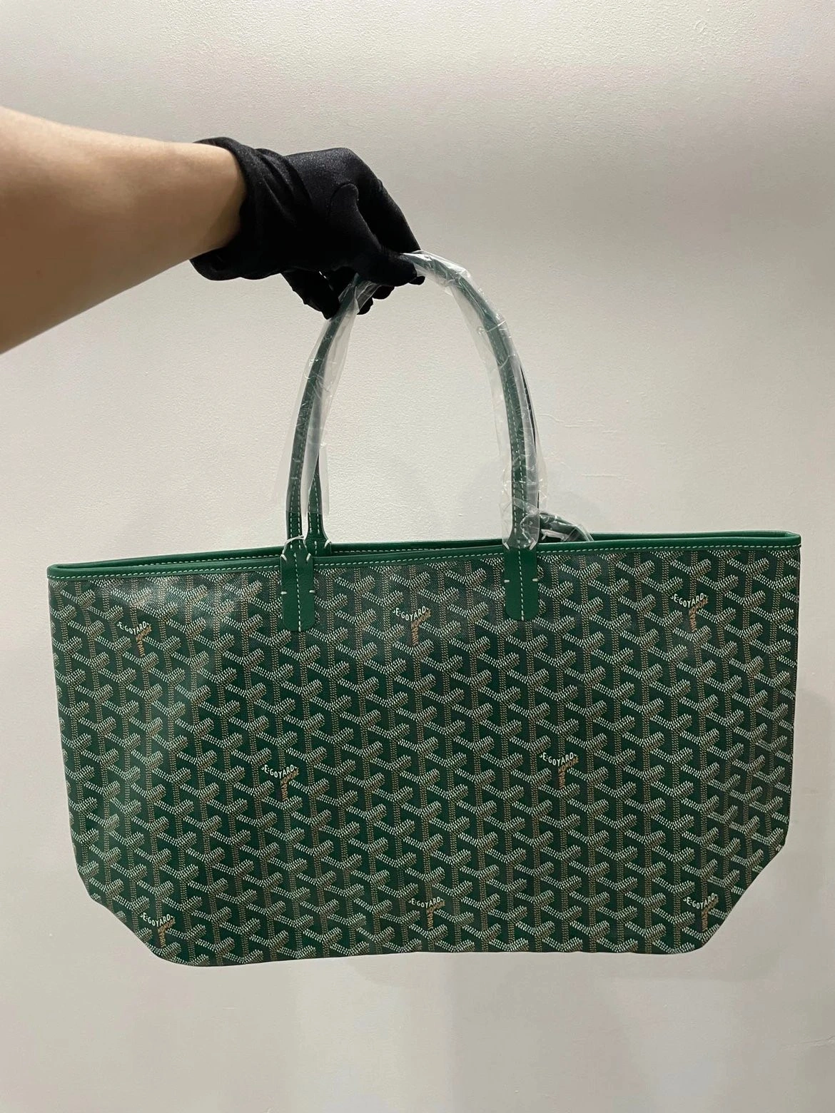 Goyard BAG