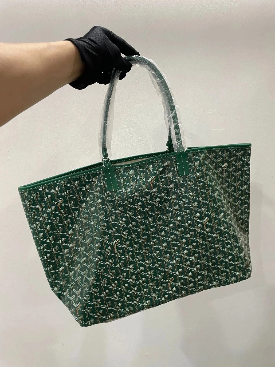 Goyard BAG