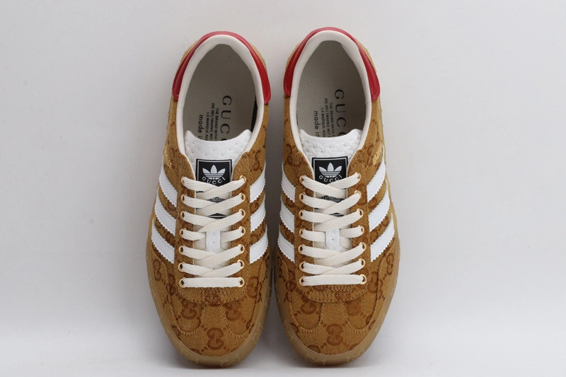 Guci  &  Adidas  Sneaker