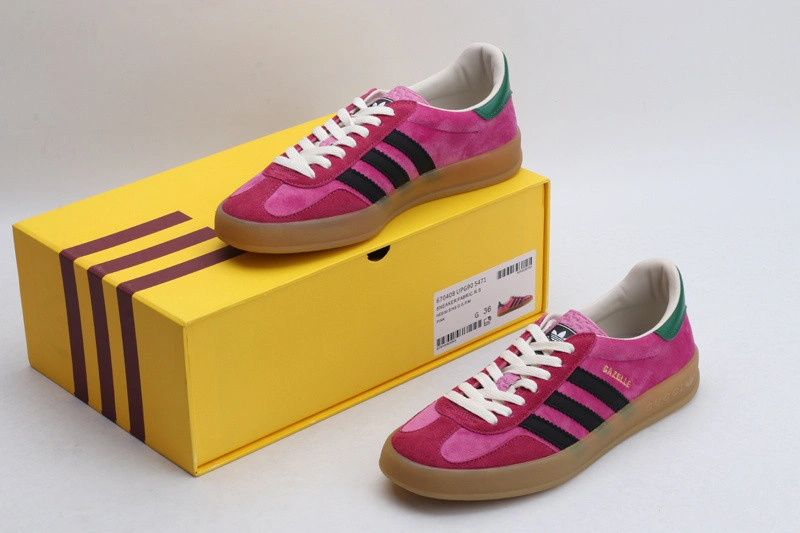 Guci  &  Adidas  Sneaker