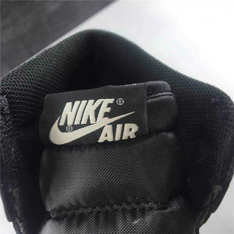 Jordan 1 Retro All Star Chameleon (2017)  907958-015