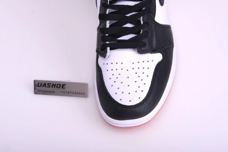 Jordan 1 Retro High Rust Pink  861428-101