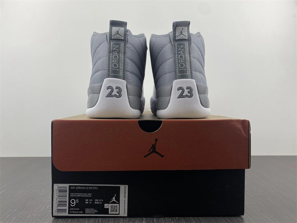 Jordan 12 Retro Stealth - CT8013-015