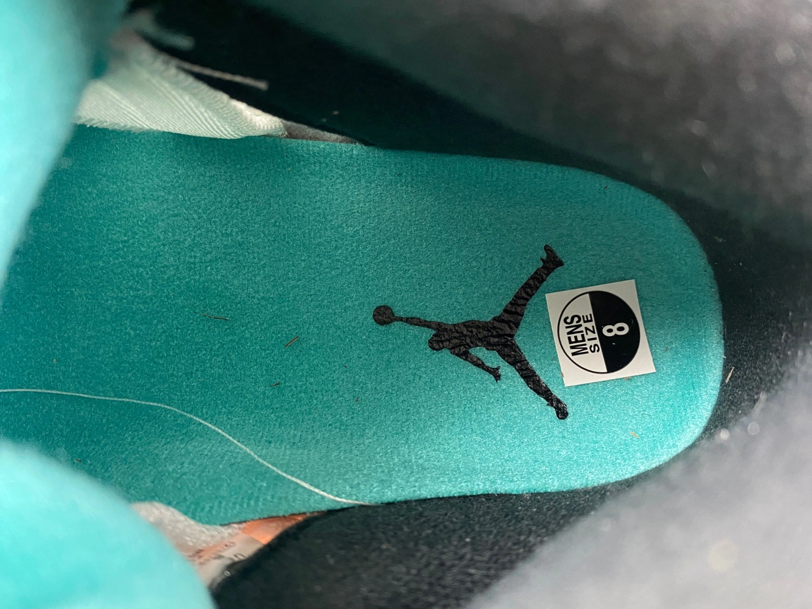 Jordan 5 Retro Grape (2006) Men's - 314259-131