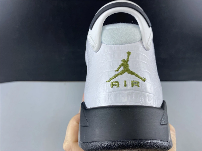 Jordan 6 Retro Alligator (GS) - 384665-110