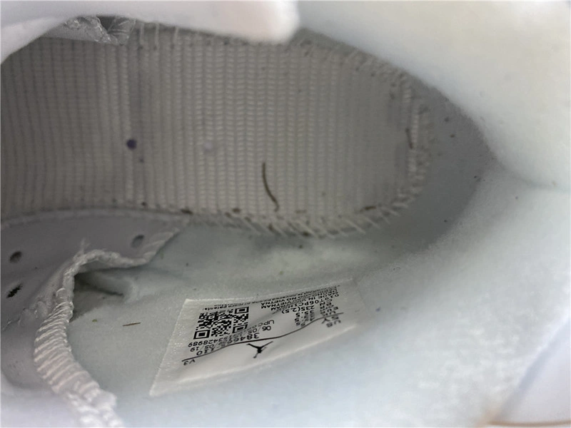 Jordan 6 Retro Alligator (GS) - 384665-110
