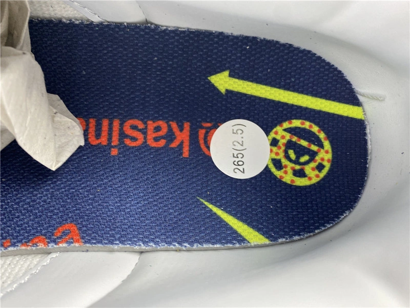 Kasina x Nike Dunk Low  CZ6501-100