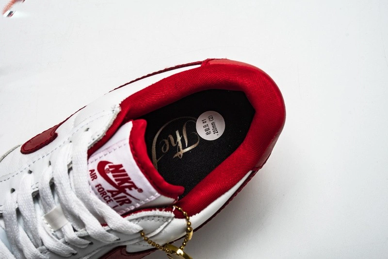 Nike Air Force 1 Low Fo Fi Fo  AQ5107-100